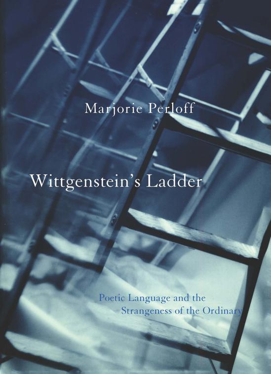 Wittgenstein&#x27;s Ladder