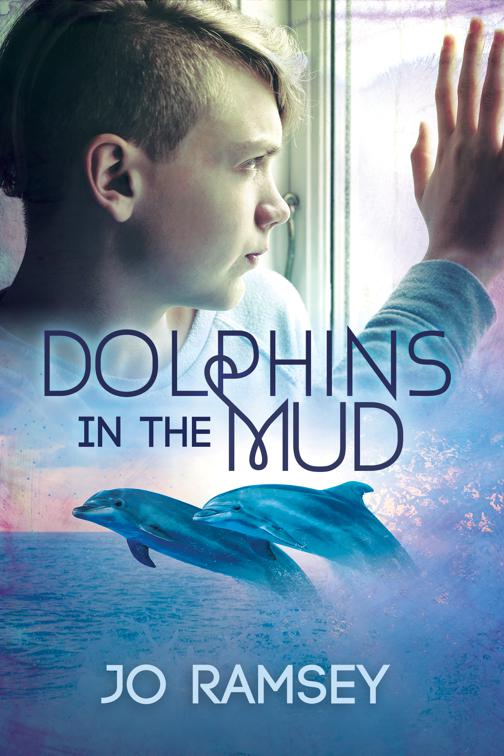 This image is the cover for the book Dolphins in the Mud