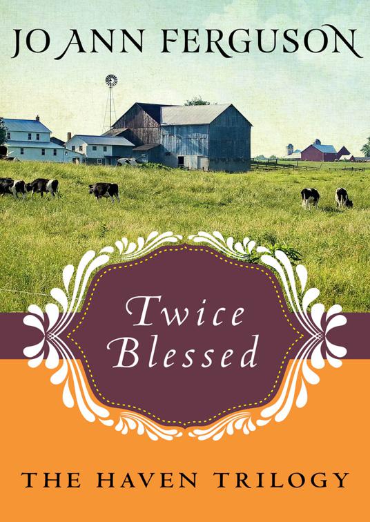 Twice Blessed, The Haven Trilogy