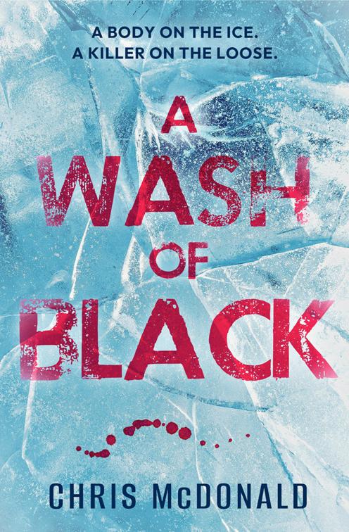 Wash of Black, DI Erika Piper