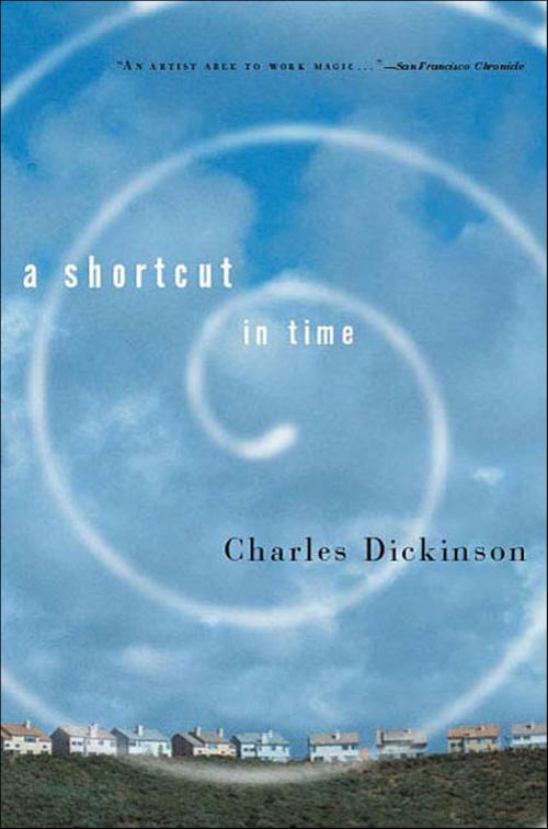 Shortcut in Time