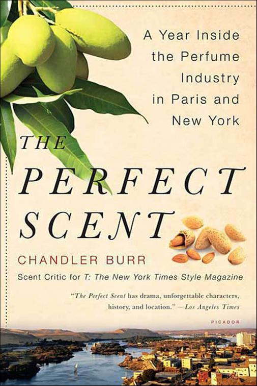Perfect Scent