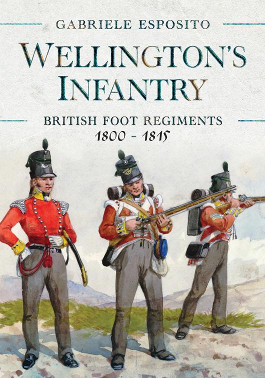 Wellington&#x27;s Infantry