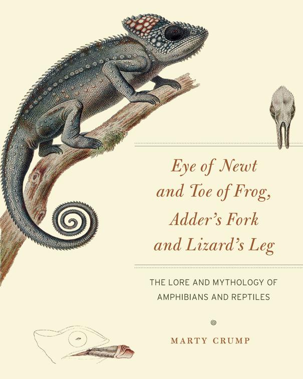 Eye of Newt and Toe of Frog, Adder&#x27;s Fork and Lizard&#x27;s Leg