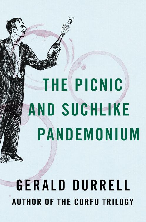 Picnic and Suchlike Pandemonium