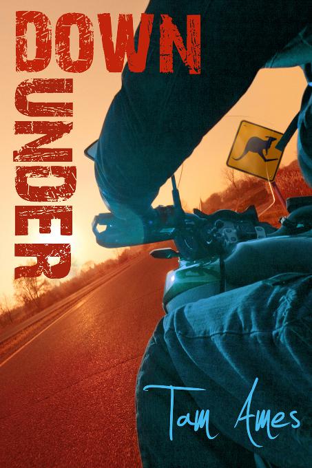 This image is the cover for the book Down Under