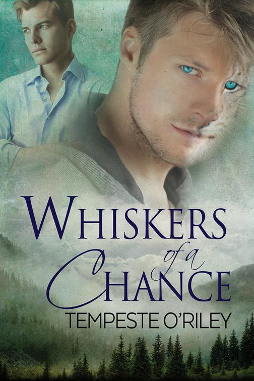 This image is the cover for the book Whiskers of a Chance, Chain of Fate