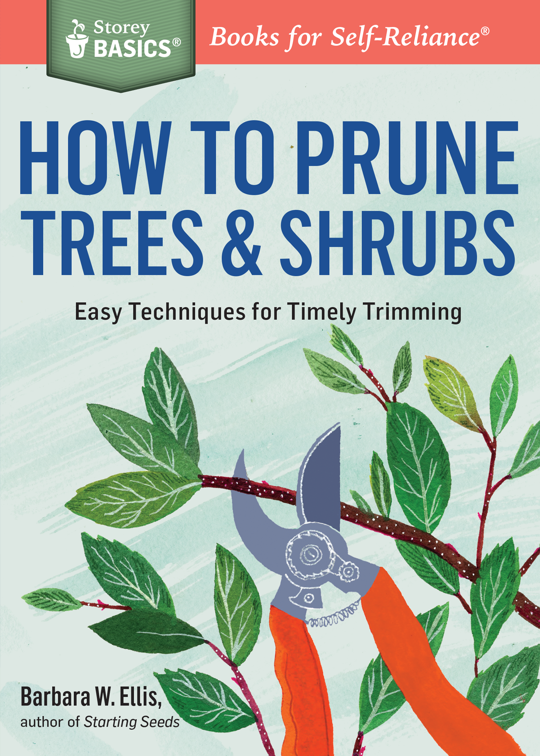 How to Prune Trees &amp; Shrubs