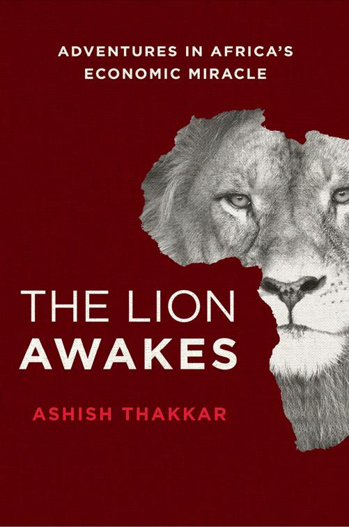 Lion Awakes