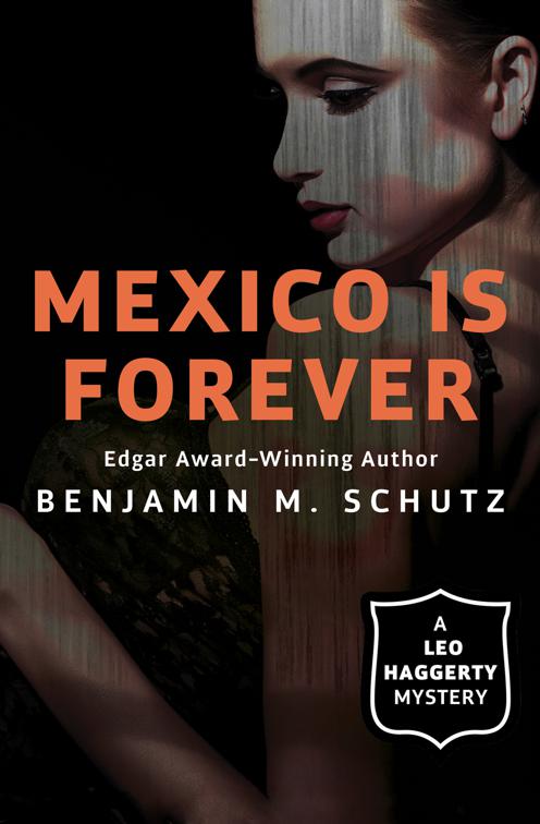 Mexico Is Forever, The Leo Haggerty Mysteries