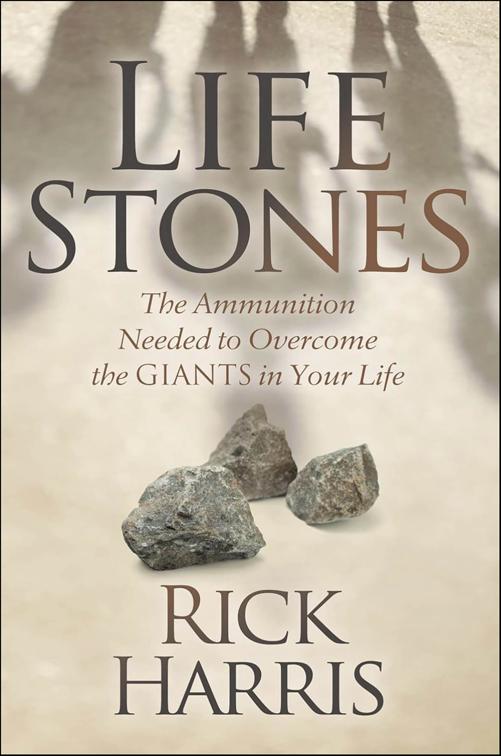 Life Stones