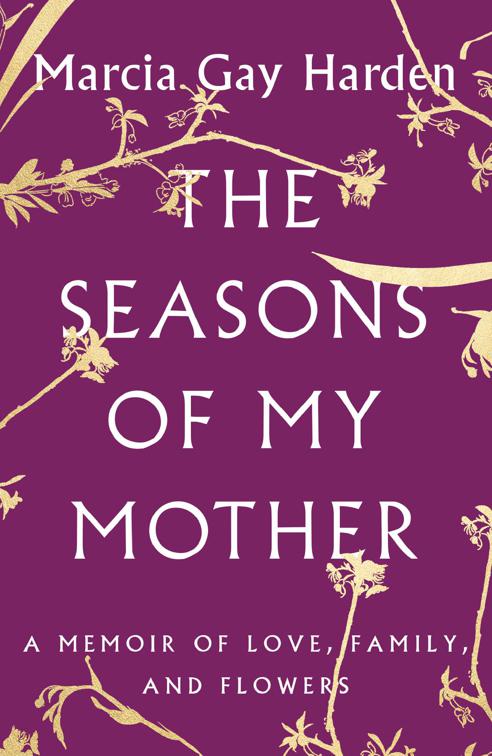 Seasons of My Mother
