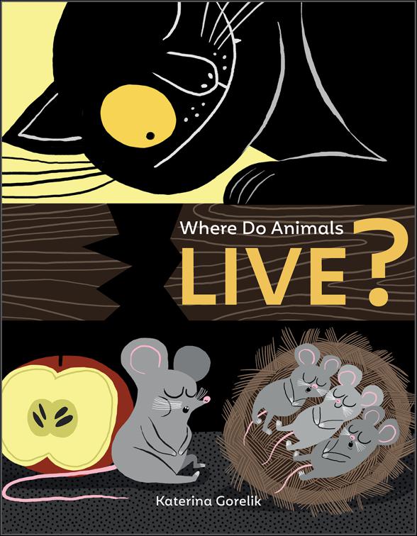 Where Do Animals Live?, Curious Creatures