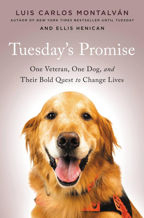 Tuesday&#x27;s Promise