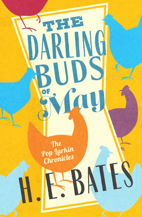 Darling Buds of May, The Pop Larkin Chronicles