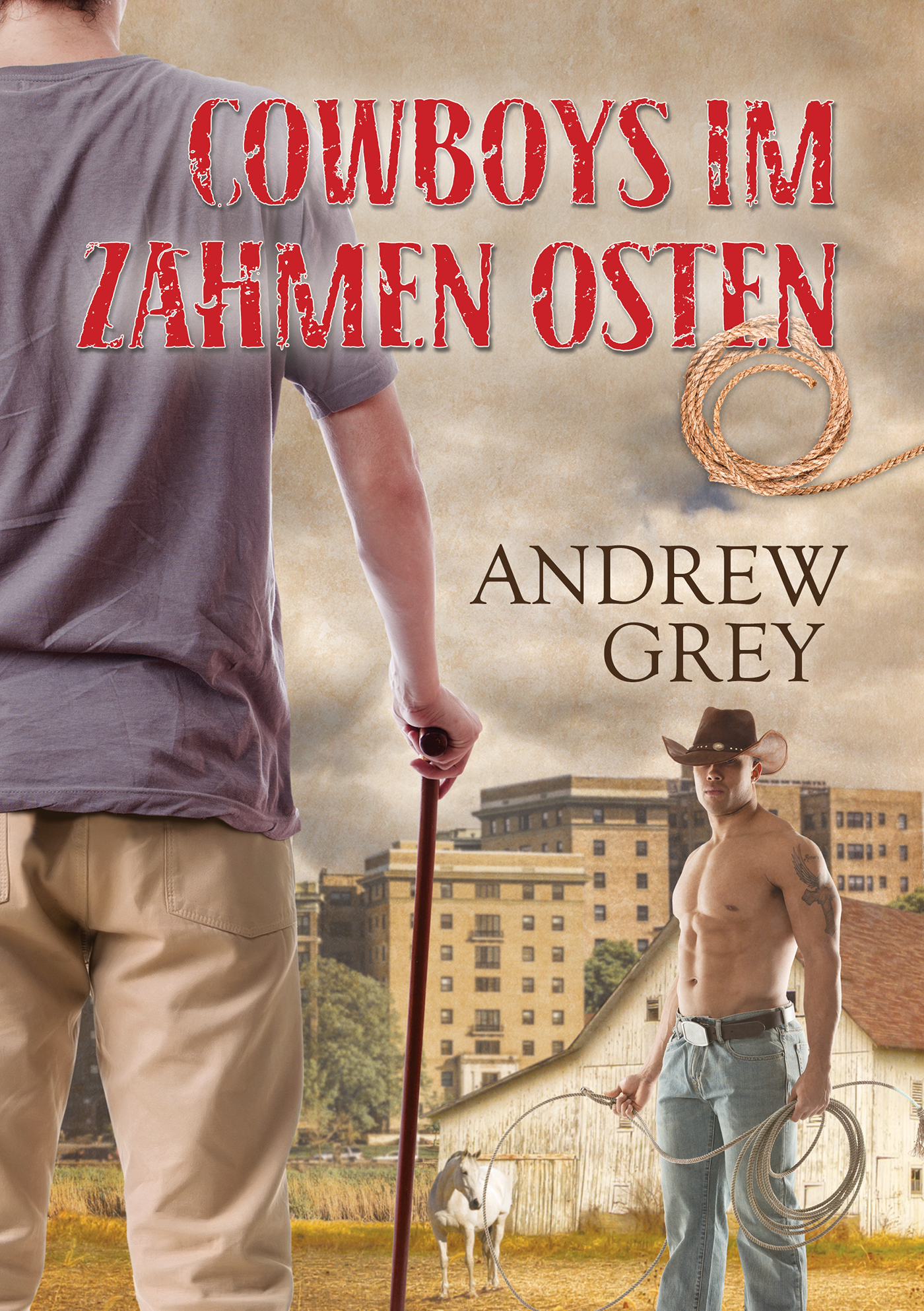 This image is the cover for the book Cowboys im zahmen Osten