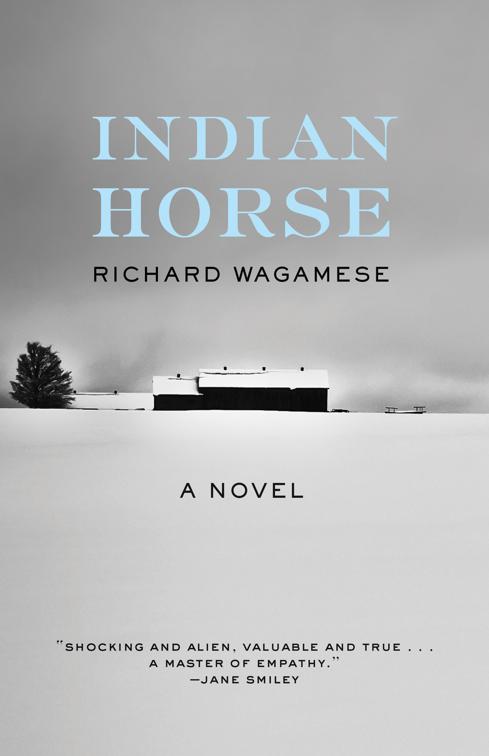 Indian Horse