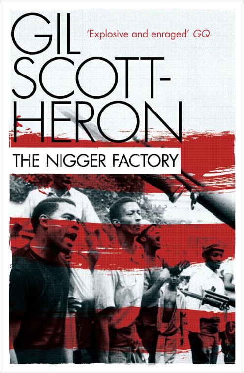 Nigger Factory