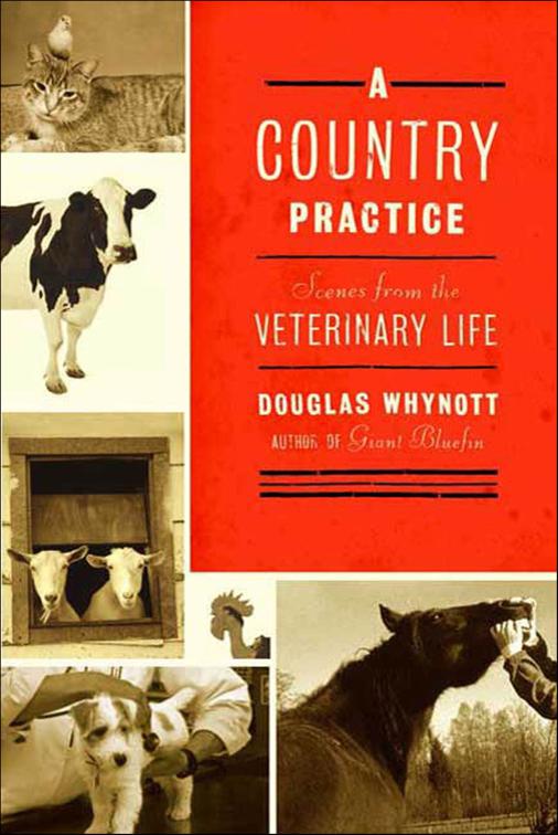 Country Practice