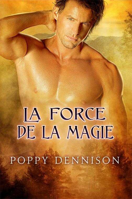 This image is the cover for the book La force de la magie, Les Triades