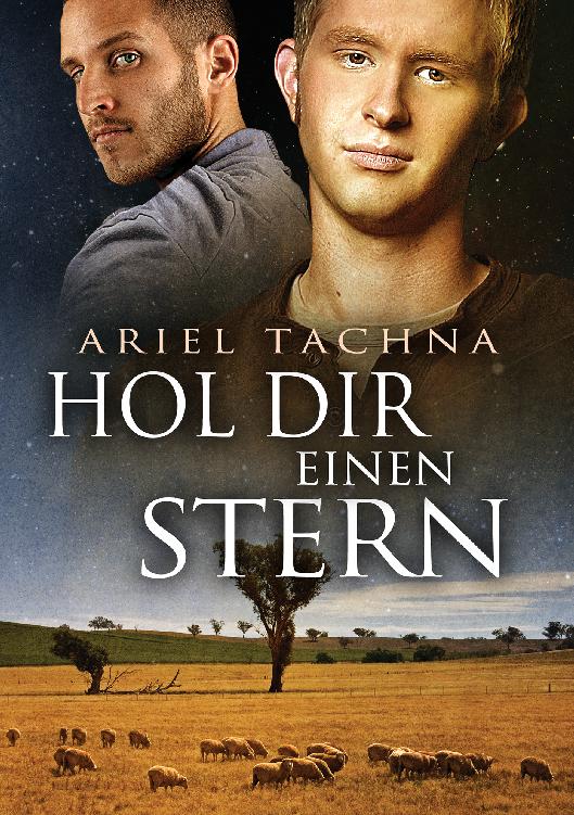 This image is the cover for the book Hol Dir einen Stern, Lang Downs (Deutsch)