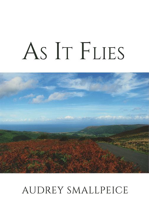 As It Flies