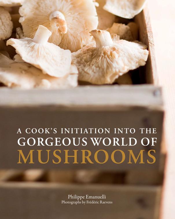 Cook&#x27;s Initiation into the Gorgeous World of Mushrooms