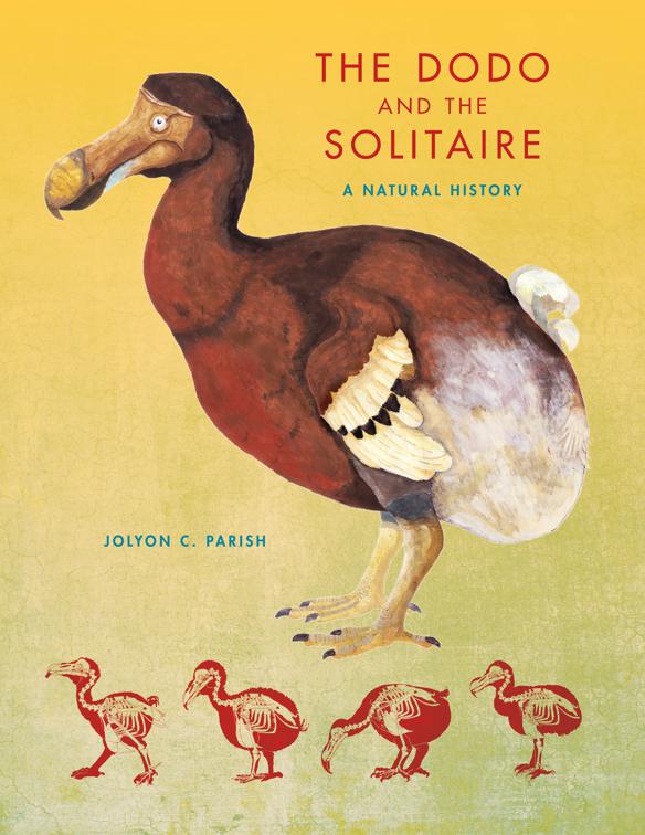 Dodo and the Solitaire, Life of the Past