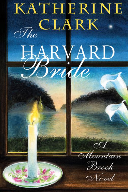 Harvard Bride, The Mountain Brook Novels