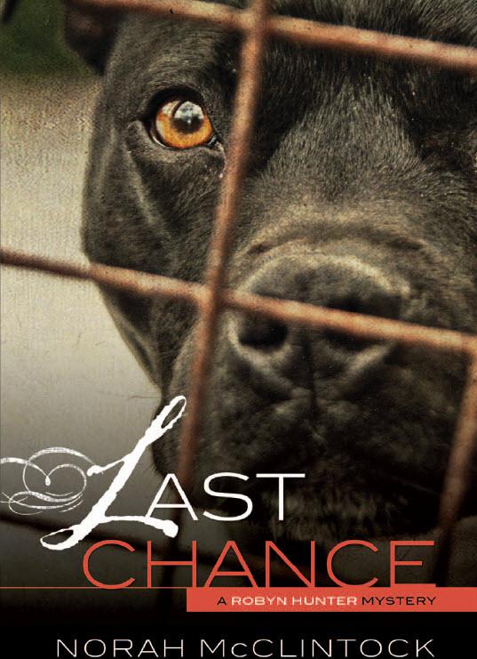 Last Chance, Robyn Hunter Mysteries