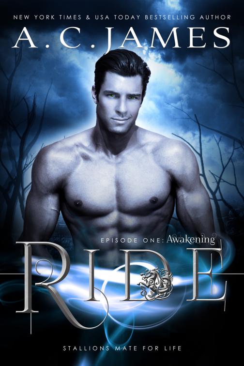This image is the cover for the book Ride: Awakening, Puca Mates