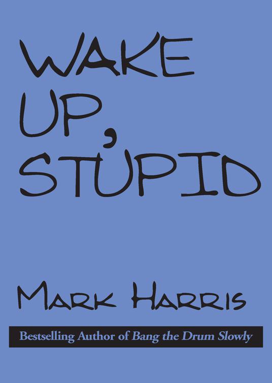 This image is the cover for the book Wake Up, Stupid