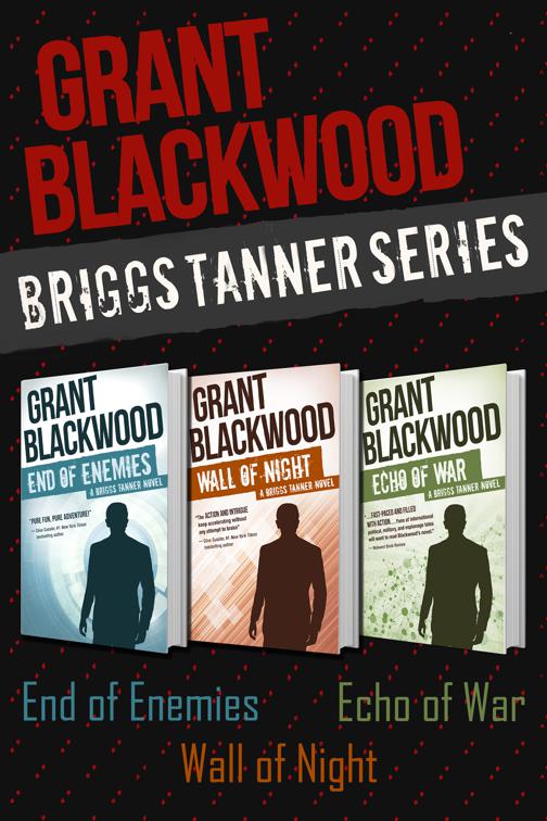Briggs Tanner Series, The Briggs Tanner Novels