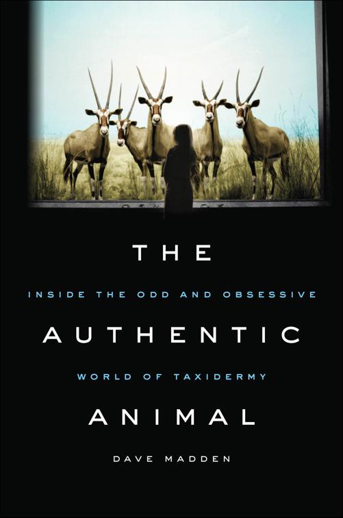 Authentic Animal