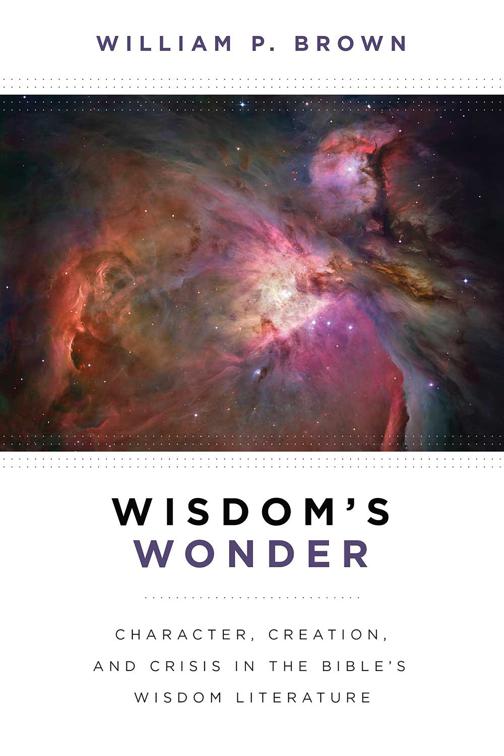 Wisdom&#x27;s Wonder