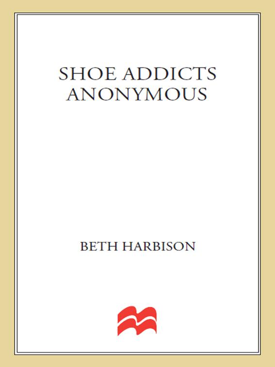 Shoe Addicts Anonymous, The Shoe Addict Series