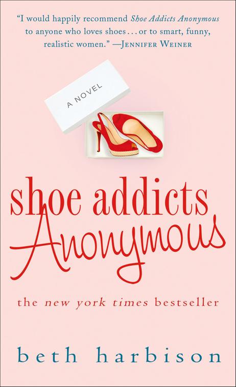 Shoe Addicts Anonymous, The Shoe Addict Series