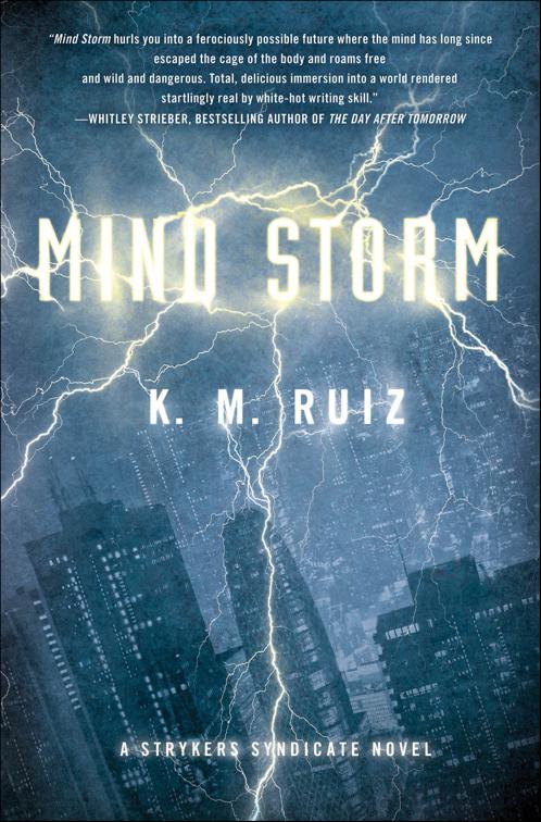 Mind Storm, Strykers Syndicate Series