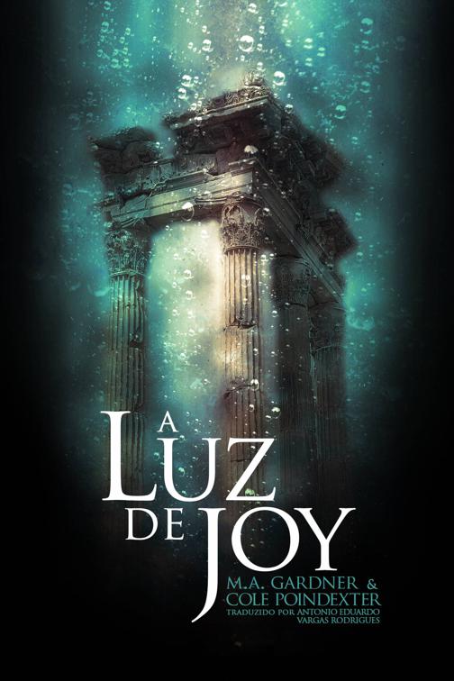 A Luz de Joy
