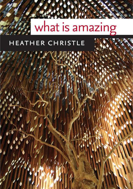 What Is Amazing, Wesleyan Poetry Series