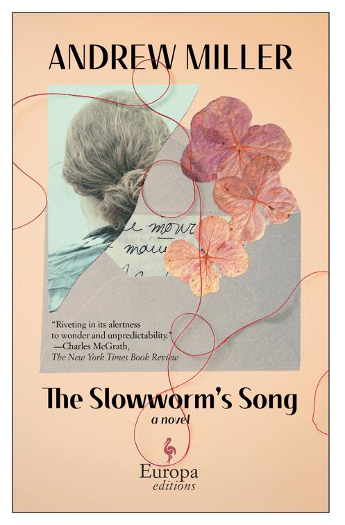 Slowworm&#x27;s Song