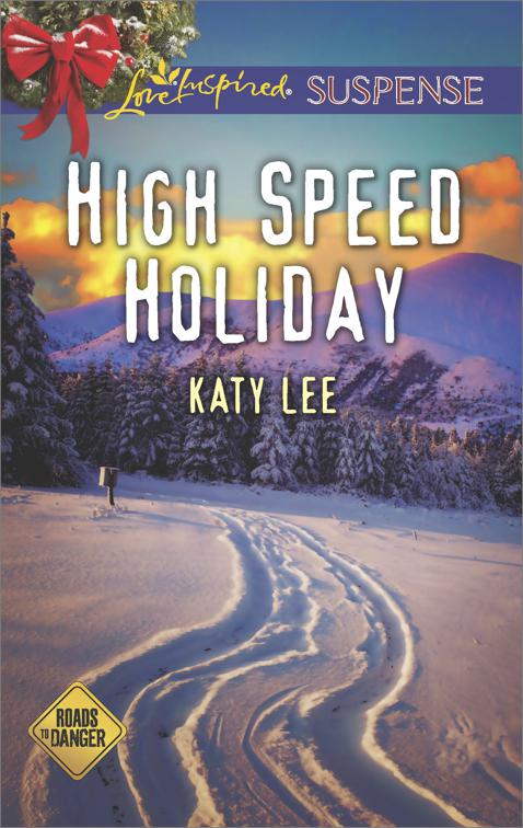 This image is the cover for the book High Speed Holiday, Roads to Danger