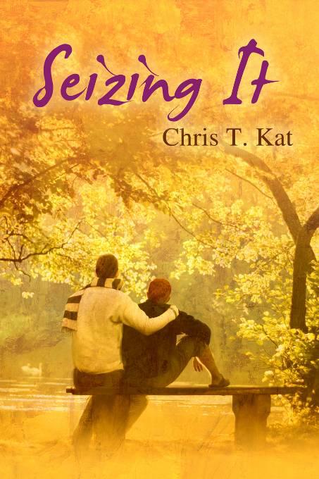 This image is the cover for the book Seizing It, Seizing It and Too Good to be True