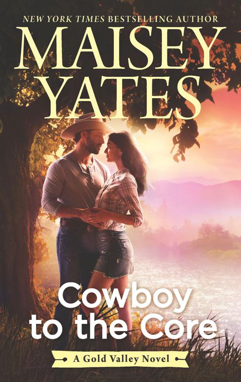 Cowboy to the Core, The Gold Valley Novels