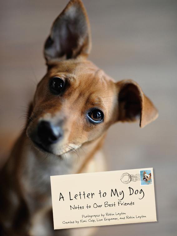 Letter to My Dog