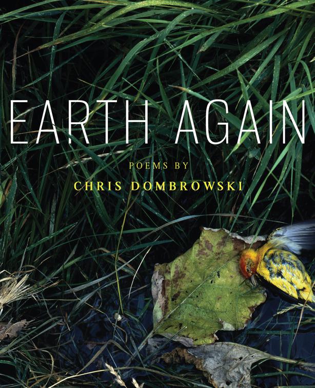 Earth Again, Made in Michigan Writers Series