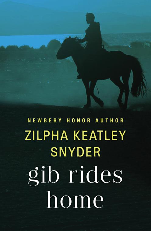 Gib Rides Home, Gib