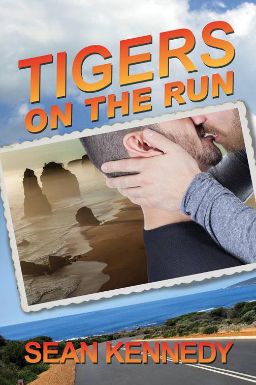 This image is the cover for the book Tigers on the Run, Tigers and Devils