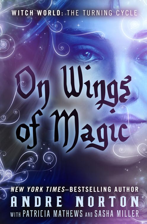 On Wings of Magic, Witch World: The Turning Cycle