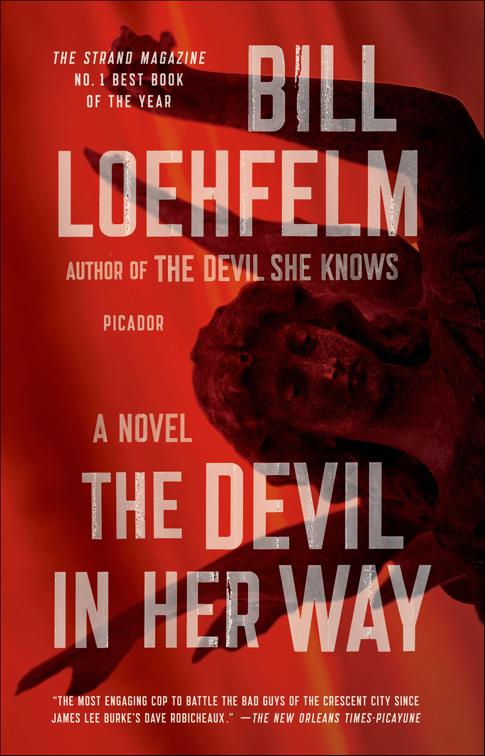 Devil in Her Way, Maureen Coughlin Series